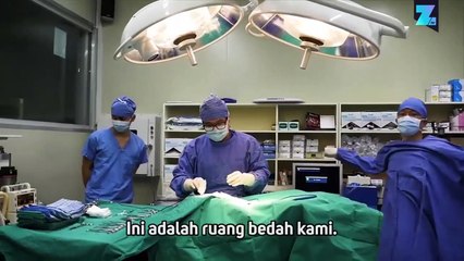Kloning Anjing Kesayangan