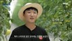 [HOT] Smart Farms with Precise Agriculture, MBC 다큐프라임 221113