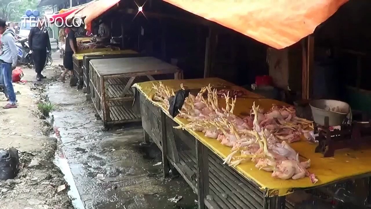 Pasca Hari Raya Idul Fitri 2018, harga daging ayam potong terus melonjak tajam