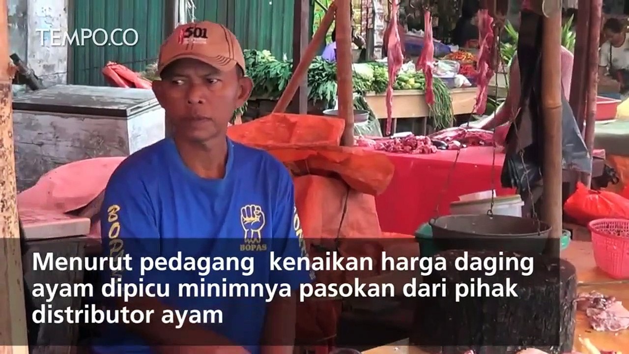 Awal Ramadan, Harga Daging Ayam Merangkak Naik