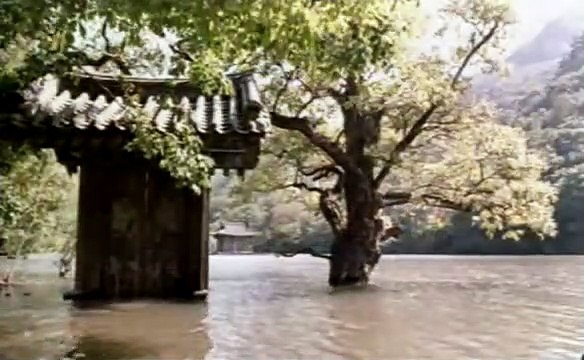 Printemps, été, automne, hiver... et printemps Bande-annonce (EN)