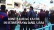 Kontes Kecantikan Kucing, Mengapa Kucing Van Menang