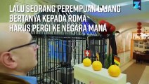 Burung Beo Peramal Tujuan Wisata