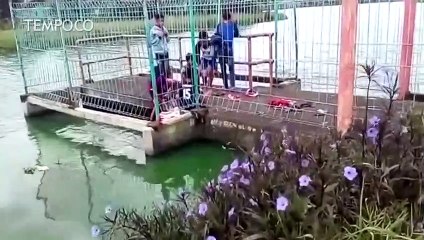 Serunya Menjaring Ikan di Danau Instalasi Pengolah Limbah Bojongsoang