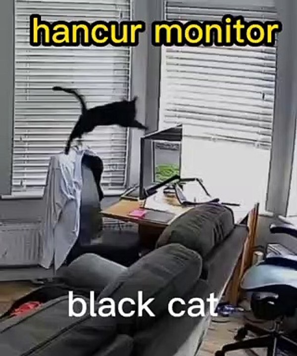 The black cat's catastrophic jump