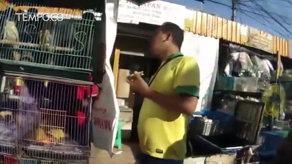 Saat Satwa Liar Masih Dijual di Pasar Jatinegara