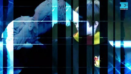 Harry Potter y “Crepúsculo” vuelven a la gran pantalla. “Sublime” Amistad, amores y una banda de garage