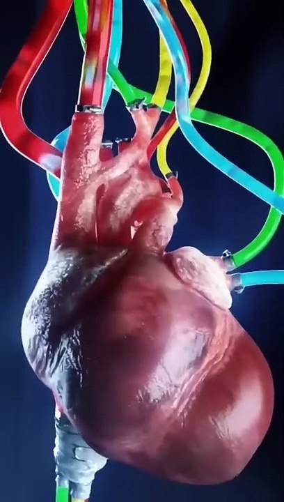 heart_#quotes_#status_#shorts(720p)