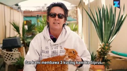 Ibu Asuh dari 800 Kucing