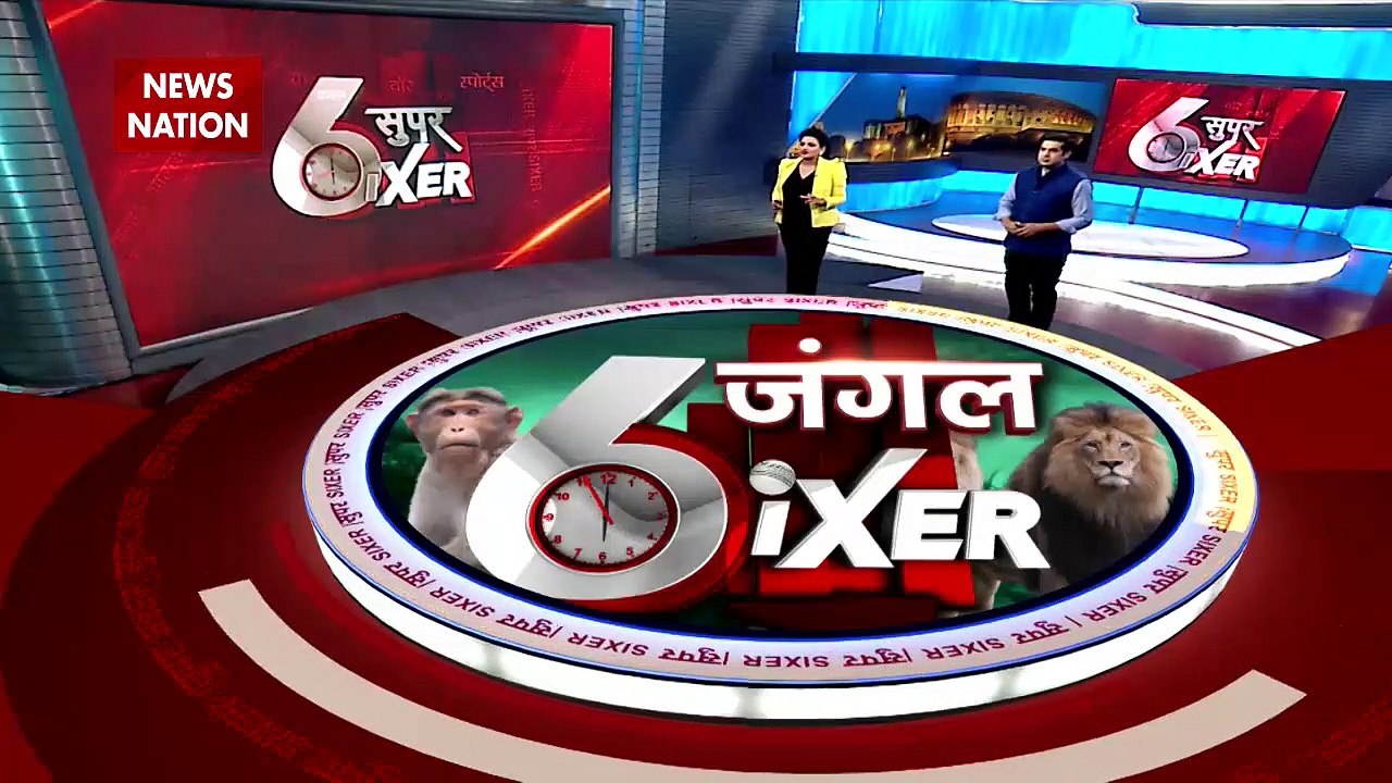 Uttarakhand News: अल्मोड़ा में बाघ की दस्तक से...
