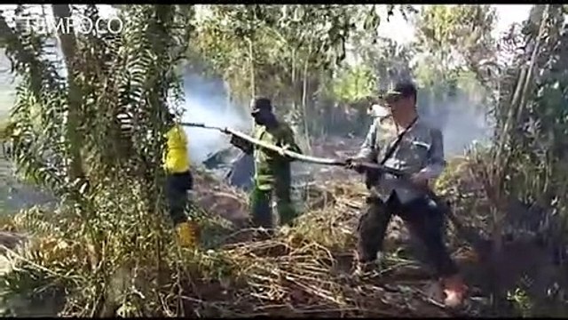 Polda Riau Tangkap 4 Orang Pelaku Pembakaran Lahan