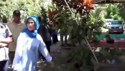 Video Viral, Bupati Lebak Iti Octavia Bergelantungan Panjat Pohon Durian