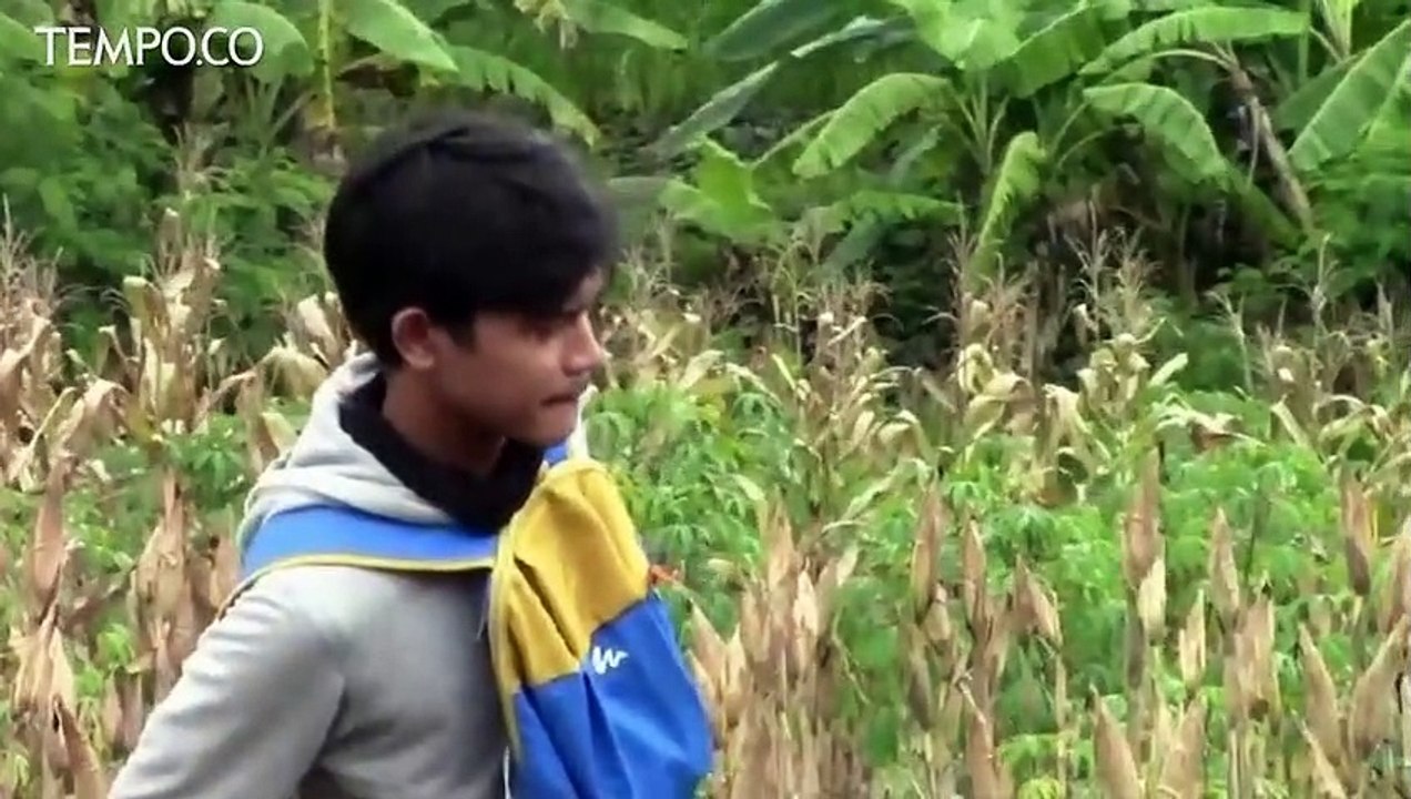 Warga Cemas, Tanah Amblas di Gunungkidul Meluas