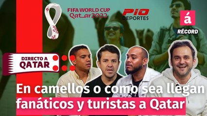 En camellos o como sea llegan fanáticos y turistas al Mundial de fútbol en Qatar