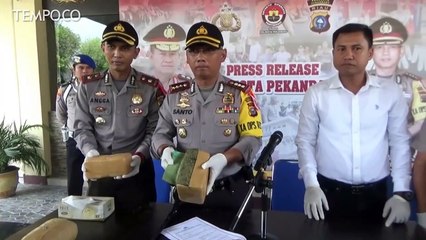 Polres Pekanbaru Gagalkan Peredaran 6 Kilogram Ganja Jaringan Lapas