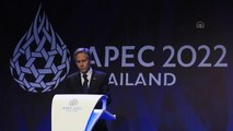 Asya Pasifik Ekonomik İşbirliği Örgütü Zirvesi - ABD Dışişleri Bakanı Antony Blinken