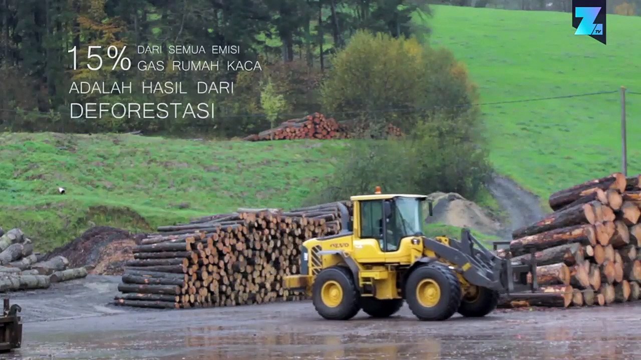 Furnitur Dari Hutan