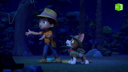 ليلة مرعبة لجراء دوريات المخلاب