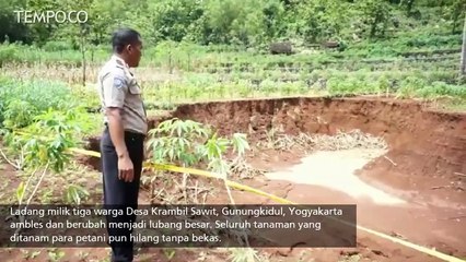 Disertai Gemuruh, Lahan Pertanian Warga Ambles Jadi Lubang Besar
