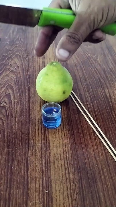 lemon lamp.