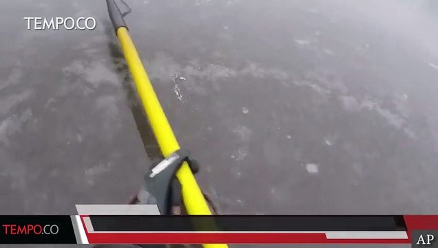 Seekor Anjing Diselamatkan dari Es di Sungai yang Membeku