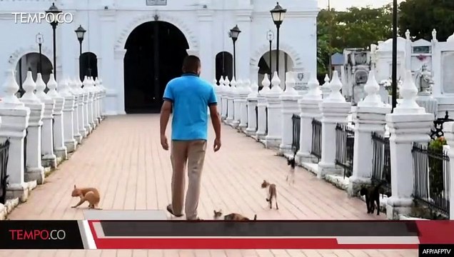 Kucing Penjaga Kuburan ini Diduga Terkait Dengan Iblis