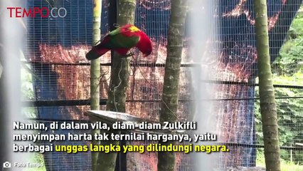 Investigasi Satwa Liar Ilegal di Vila Pejabat