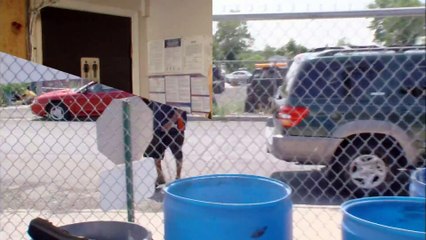 Abandoned on Exit Ramp | Parking Wars: Season 7, Episode 18