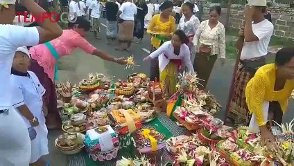 Mesuryak, Tradisi Berebut Uang di Hari Raya Kuningan