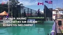 Lucunya Anjing Terpleset ke Air Dalam Kompetisi Melompat