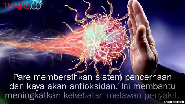 Tips Kesehatan: 10 Manfaat Pare bagi Tubuh