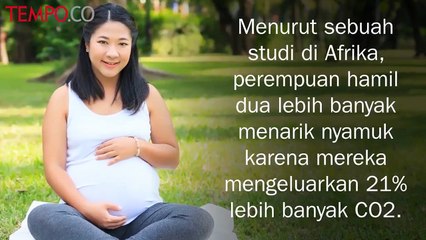 Mengapa Ada Orang yang Lebih Rentan Digigit Nyamuk?