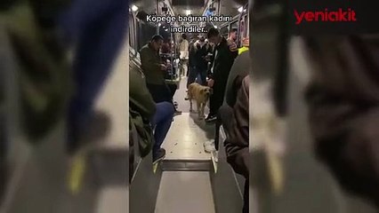Köpek tartışması! Kadın yolcu metrobüsten inmek zorunda kaldı