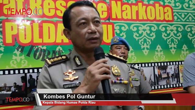 Polda Riau Gagalkan Pengiriman 38 Kg Ganja Kering di Lintas Medan-Riau