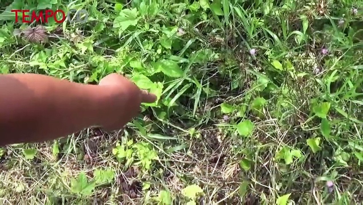 Brimob Banten Evakuasi Mortir Aktif dari Tangan Warga