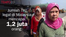 Investigasi Majalah Tempo: Perdagangan Manusia ke Malaysia