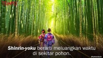 Mandi Hutan di Jepang