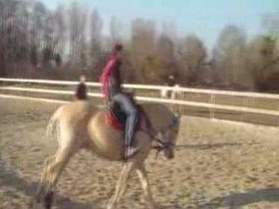 GEGE EN VOLTIGE