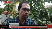 Izin Tambang dan Kelapa Sawit Disebut Penyebab banjir di Riau