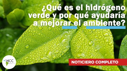 ¿Qué es el hidrógeno verde y por qué ayudaría a mejorar el ambiente? | 501 | 21-27 de noviembre 2022