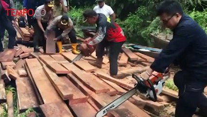 Kemen LHK Sidak Perambah Liar di Cagar Biosfer Bengkalis