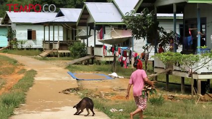 Bangun Malinau Dengan Memberikan Kewenangan Bupati Kepada Kepala Desa