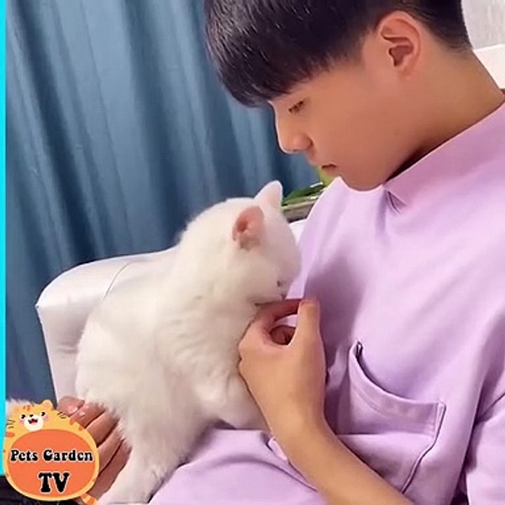 Cat's funny