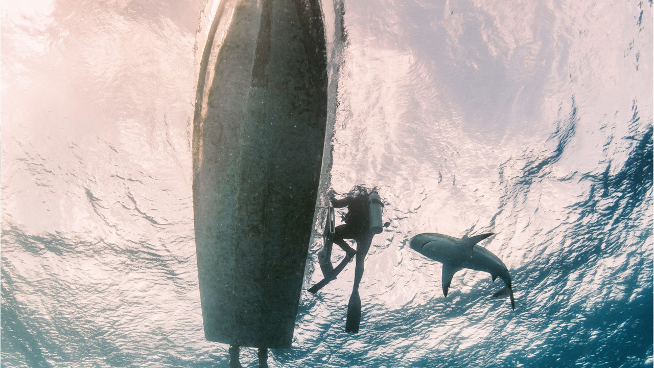 Fishermen left stunned after a shark jumps on their boat