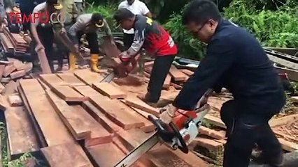 Kemen LHK Sidak Perambah Liar di Cagar Biosfer Bengkalis