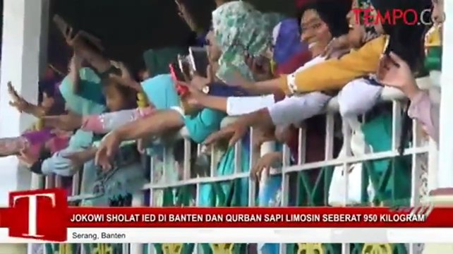 Jokowi Sholat Ied Di Banten Dan Qurban Sapi Limosin Seberat 950 Kilogram