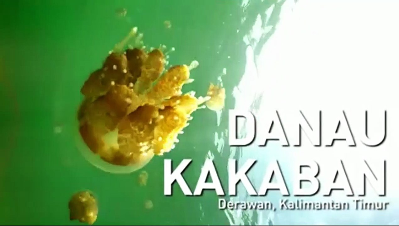 Danau Kakaban