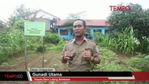 Desa Sehat Awal Kesejahteraan