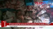 Petugas Karantina Gagalkan Penyelundupan 2,8 Ton Daging Celeng