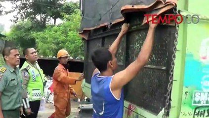 BKSDA Gagalkan Penyelundupan Kayu Asal Mentawai